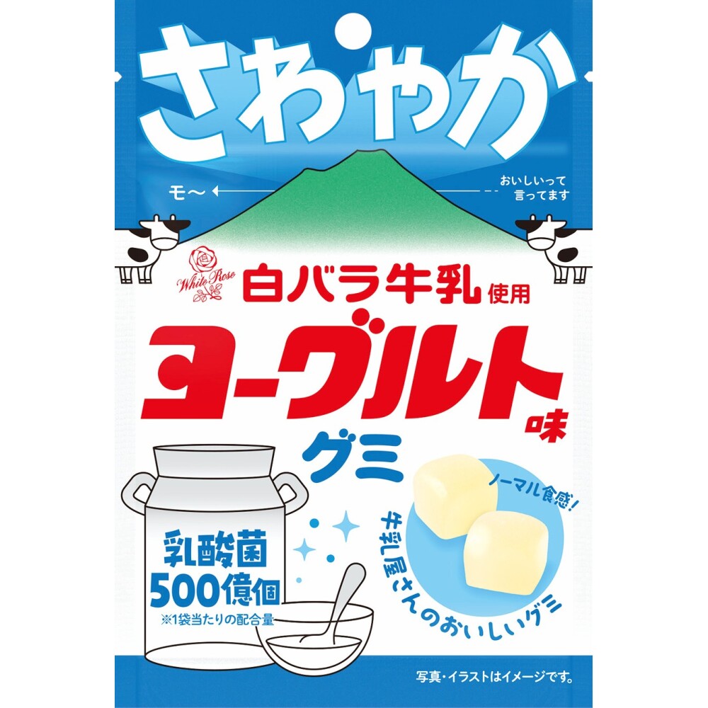 プリン 卸 ネット