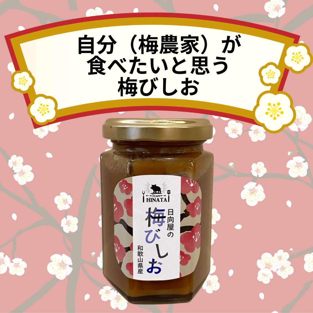 梅びしお 日向屋 【和歌山県田辺市】 関西 近畿 梅醤 調味料  紀州南高梅