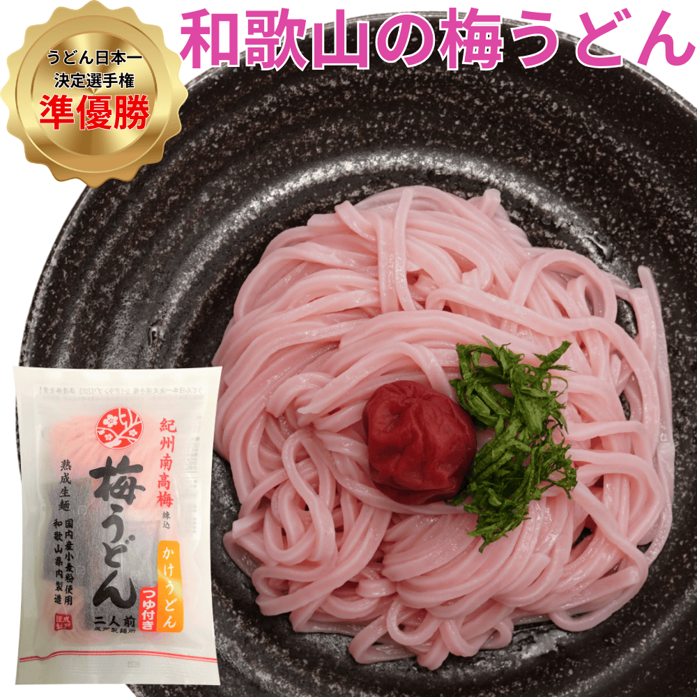 和紙梅うどん 2食つゆ付き 成戸製麺所  【和歌山県有田市】近畿 関西 紀州南高梅
