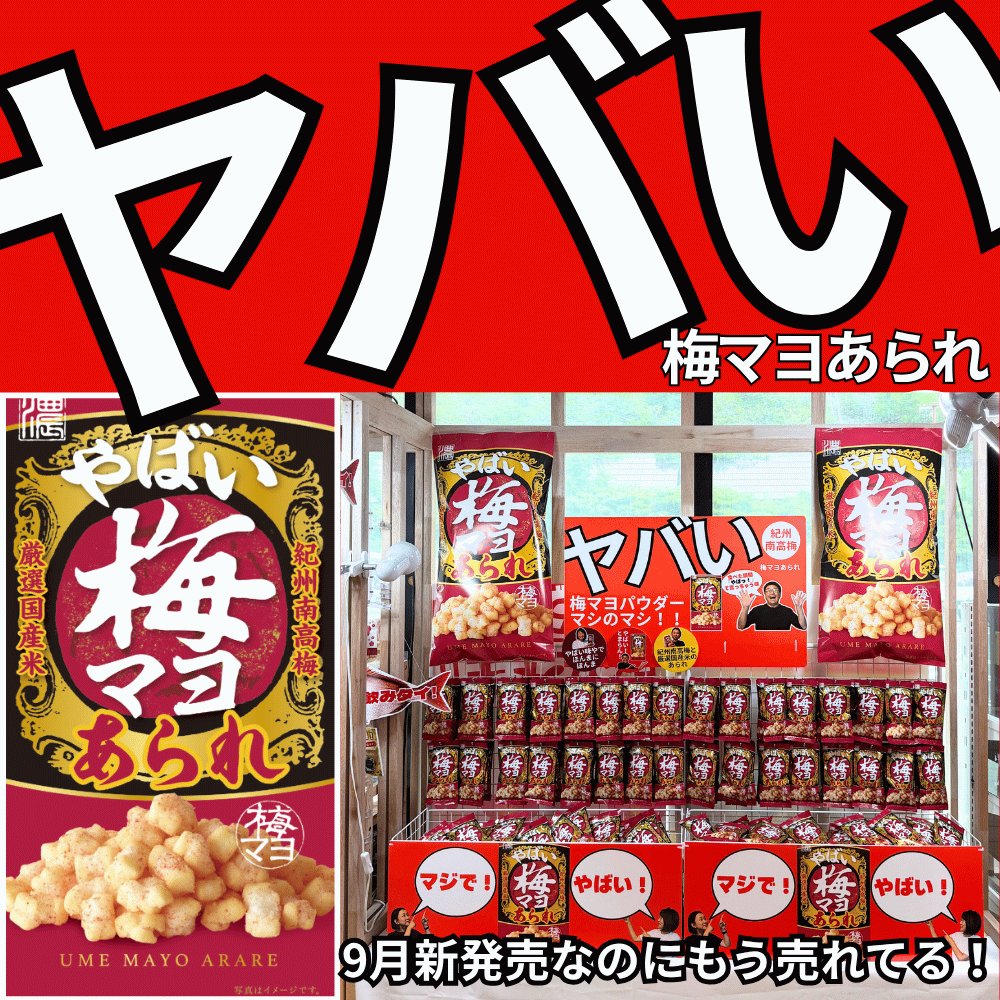 プリン 卸 ネット