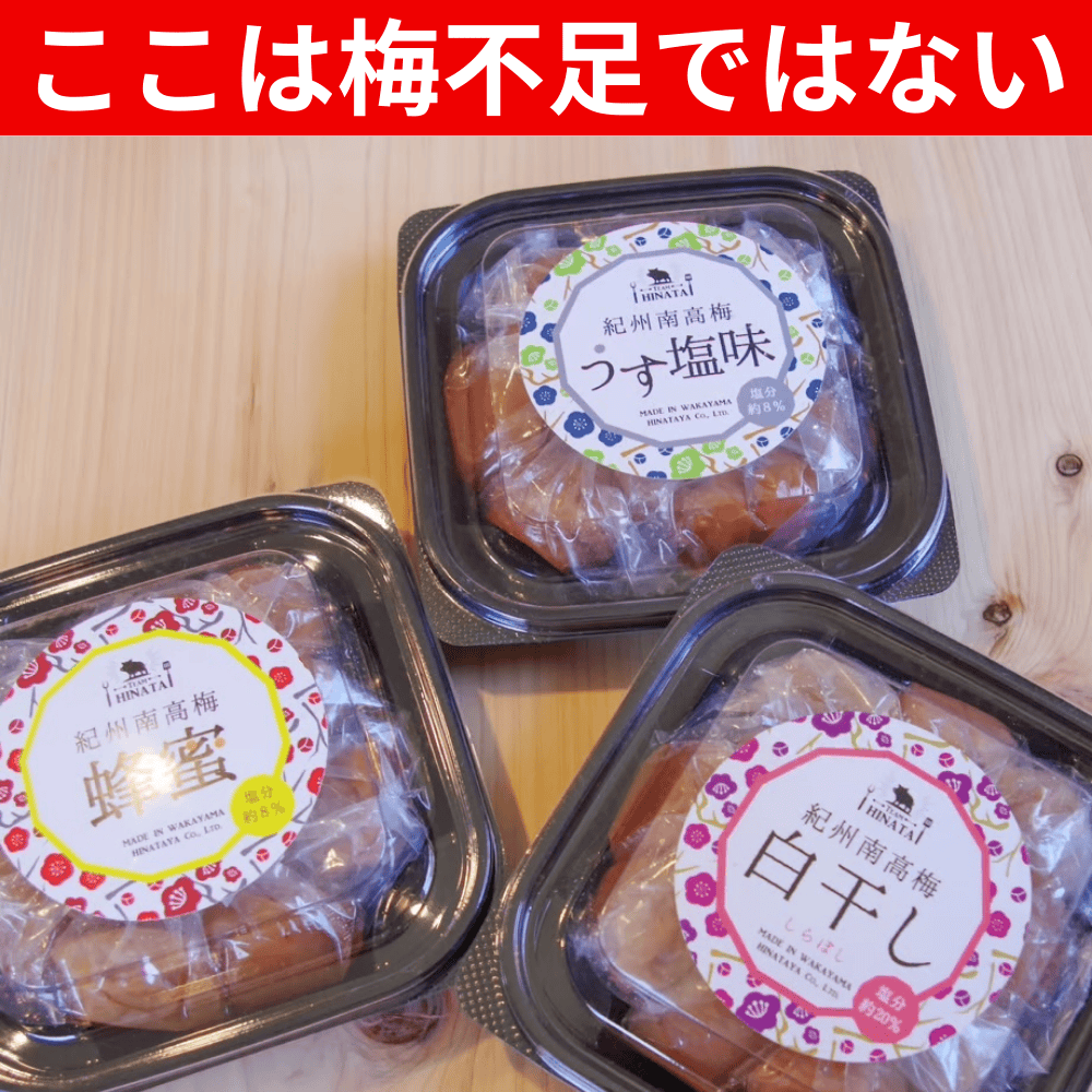 紀州南高梅 200g 日向屋 【和歌山県田辺市】 近畿 関西 梅干し ご飯のお供 蜂蜜 しそ かつお 小ポーション 地域活性化